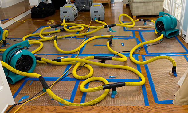 Professional Structural Drying And Dehumidification technician working in Chester, MA